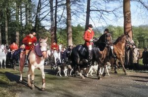 Sint-Hubertus slipjacht Someren